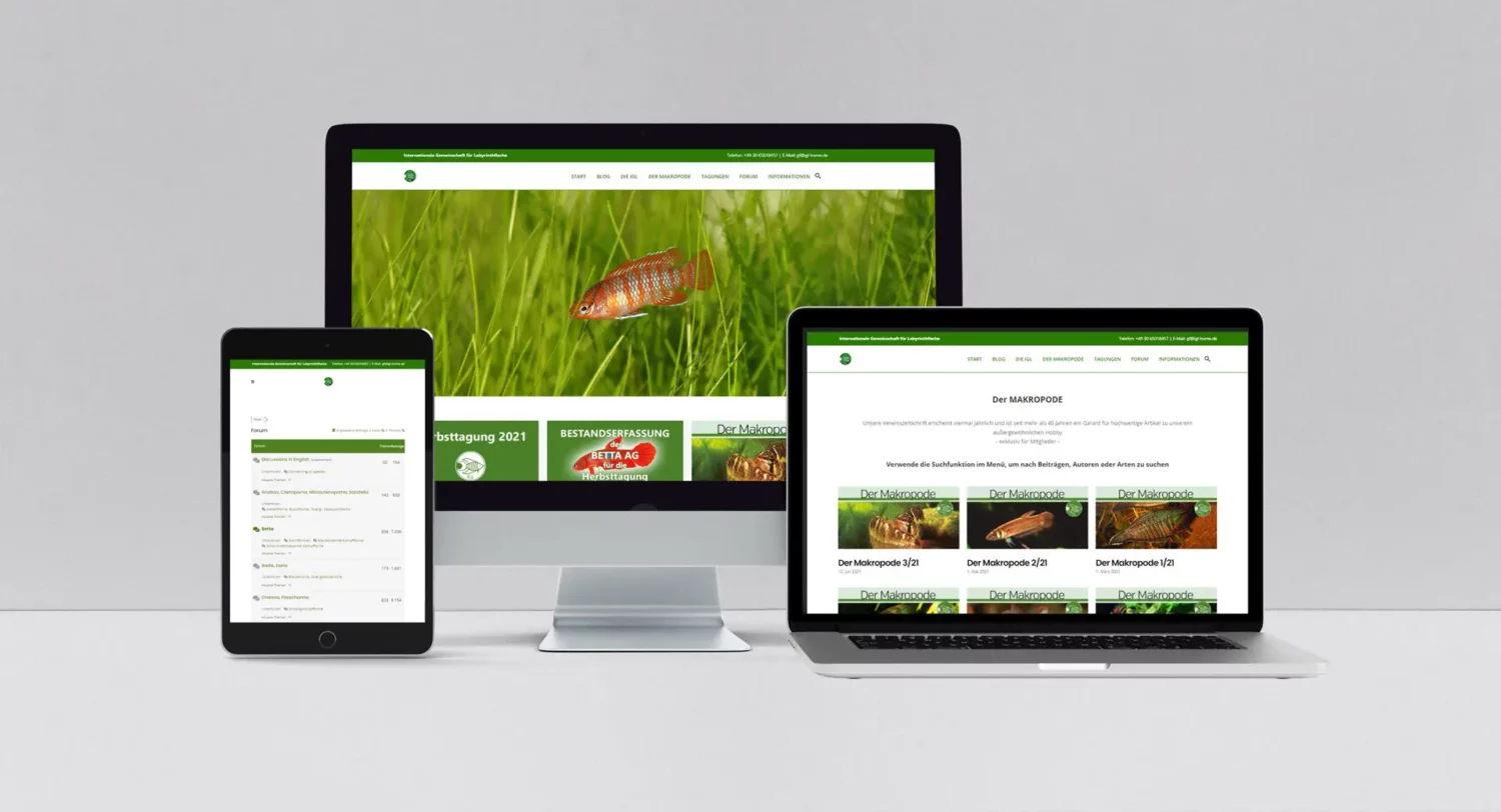 webdesign
